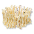$35 Connie craig carroll Mother of pearl Stretch B New 900585 $35 Connie craig carroll Mother of pearl Stretch Bracelet