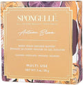 $32 Spongelle Multi Use Boxed Flower (Autumn Bloom)